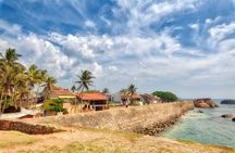 Day trip to Kumbhalangi village from Kochi