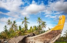 Day trip to Kumbhalangi village from Kochi