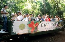 Macuco safari and boat adventure
