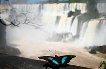 Iguassu Falls Brazil side with optional Macuco safari, helicopter flight, and Bird Park