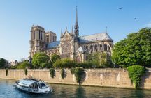 City tour of Paris by bus and tickets for a Seine cruise