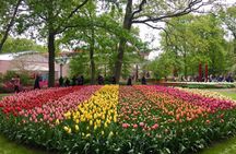 Tulips and windmills small-group tour with Keukenhof skip-the-line ticket