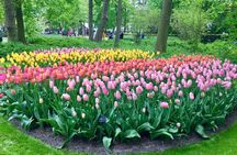Tulips and windmills small-group tour with Keukenhof skip-the-line ticket