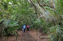 Zanzibar Jozani Forest private tour