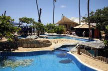 Praia Do Forte and Tamar Project guided tour