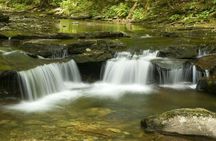 Presidente Figueiredo Waterfalls guided excursion with lunch