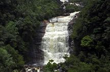 Presidente Figueiredo Waterfalls guided excursion with lunch