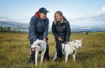 Enjoy a husky trekking trip