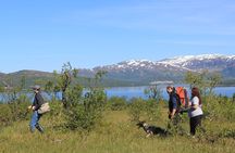Enjoy a husky trekking trip