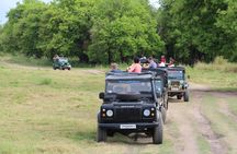 Wilpattu National Park day tour from Colombo