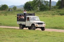 Wilpattu National Park day tour from Colombo