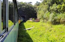 Morretes guided excursion by train with typical lunch