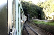 Morretes guided excursion by train with typical lunch