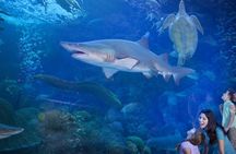 Tickets to ZooQuarium in Tampa