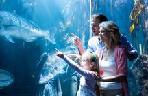 Tickets to ZooQuarium in Tampa