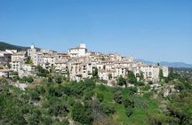 Provence and lavender full-day shared tour