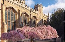 Cambridge University and city walking tour