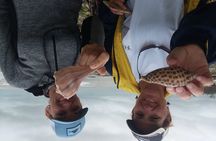 Everglades National Park wildlife and beach expedition