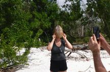 Everglades National Park wildlife and beach expedition