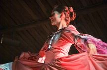 Gaucho night dinner and show