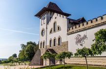 Wine Road Tour to  Chateau Purcari and Asconi Cellar with degustation