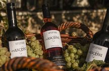 Wine Road Tour to  Chateau Purcari and Asconi Cellar with degustation