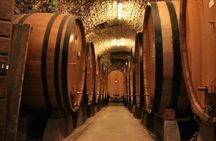 Wine tour to Cricova cellar and visit to Old Orhei from Chisinau