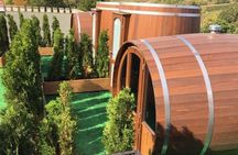 Purcari & Asconi wineries tour with Wood Monastery from Chisinau