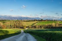 Hike and wine tour