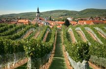Small Carpathian wine tour from Bratislava