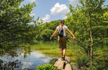 Plitvice National Park full-day guided tour from Zadar