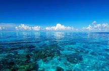 Lagoon small group snorkeling tour in Bora Bora