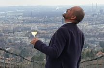 Historical wine tasting and walking tour in Vienna