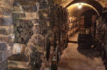 Historical wine tasting and walking tour in Vienna