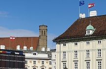 Vienna private city center and hills tour with a van