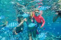 Private morning cruise and motu lunch in Bora Bora