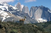 Torres del Paine National Park full-day tour