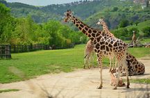 River cruise to the Prague Zoo with entrance ticket