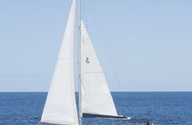 Whale and dolphin watching on an exclusive sailboat in Tenerife