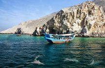 Dolphin watching and snorkeling in Oman