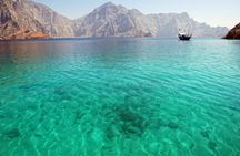 Dolphin watching and snorkeling in Oman
