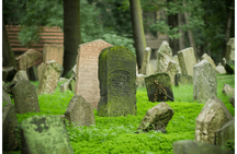 1.5-hour guided tour of Prague Old Town and Jewish Town