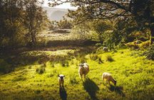 Windermere, Lancaster and the Lake District small group day tour from Manchester