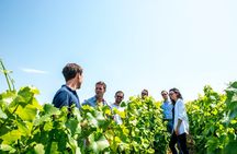 Afternoon Hautvillers and family growers from Reims