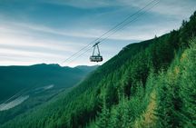 Vancouver City and Capilano Suspension Bridge tour with lunch