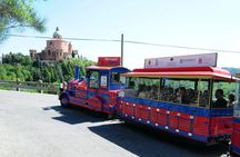 Sanctuary of San Luca guided visit and tourist train panoramic tour
