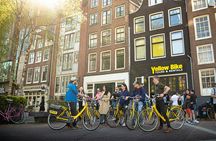 Small-group city bike tour of Amsterdam