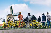 Small-group city bike tour of Amsterdam