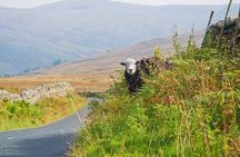 Full-day tour of ten spectacular Lakes and surrounding towns