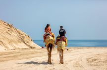 Full-Day Doha Safari with Al Majles Resort Stay